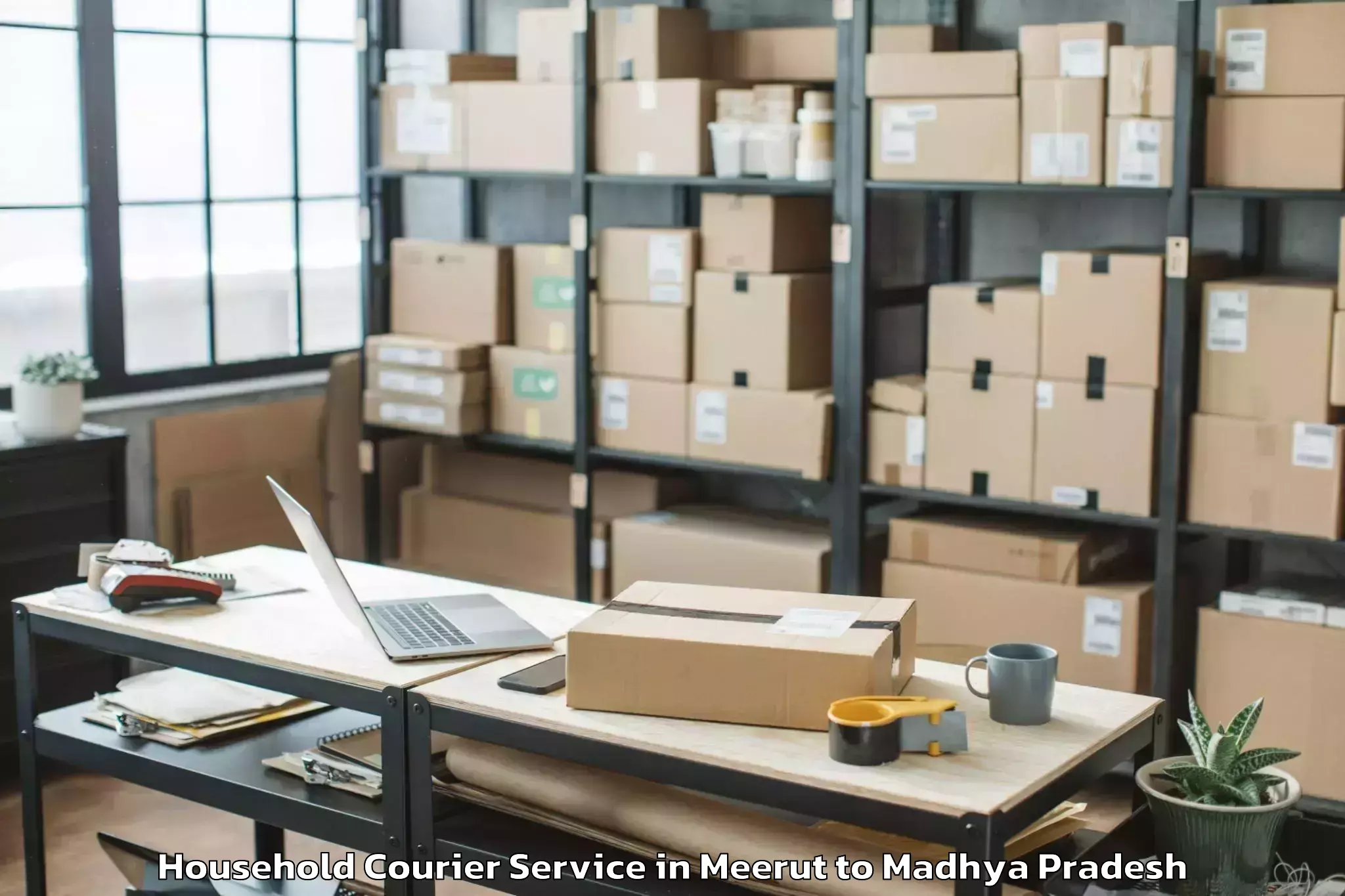 Reliable Meerut to Sanchi Household Courier